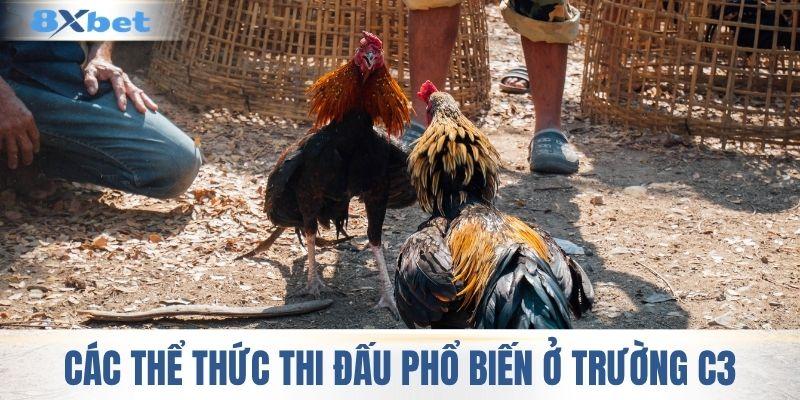 Các thể thức thi đấu phổ biến ở trường C3