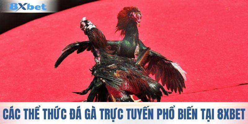 Những thể thức đá gà trực tuyến phổ biến tại 8XBET
