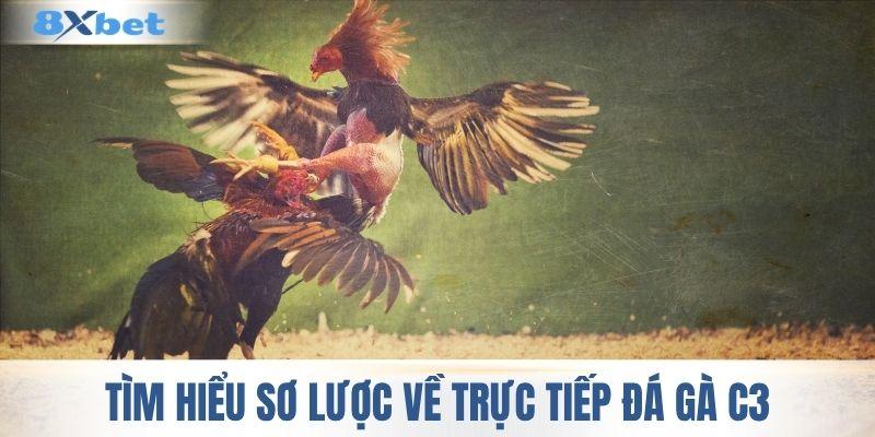 Tìm hiểu sơ lược về trực tiếp đá gà C3