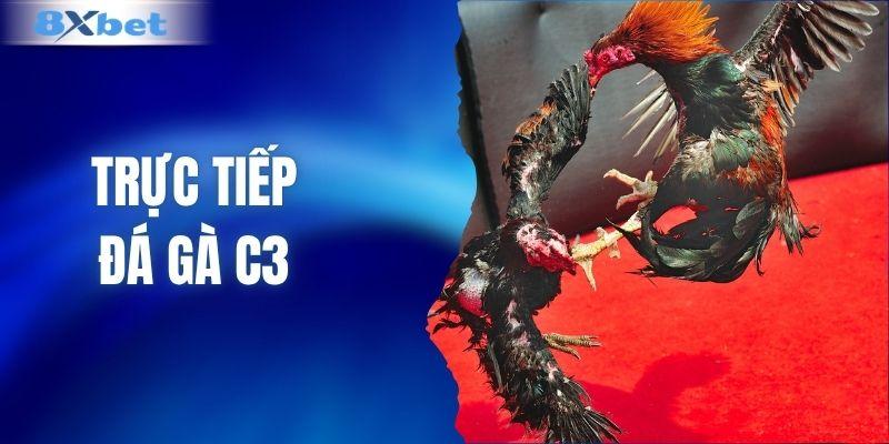 Trực tiếp đá gà C3